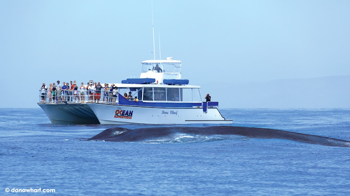 Dana Warf Sport fishing